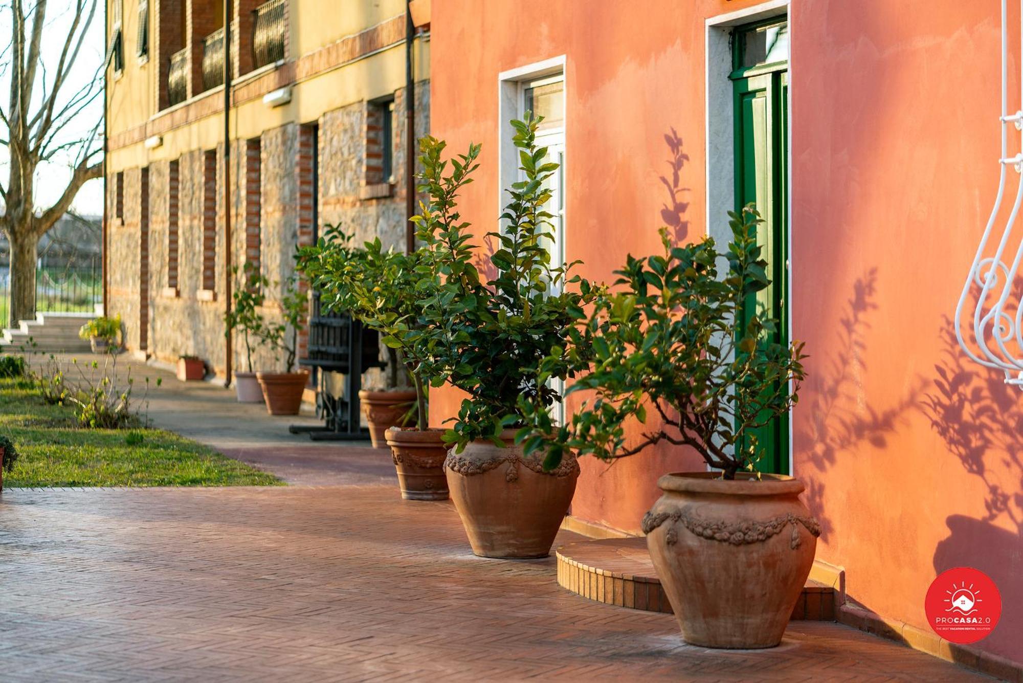 Fattoria Battilana Country house Marina Di Carrara